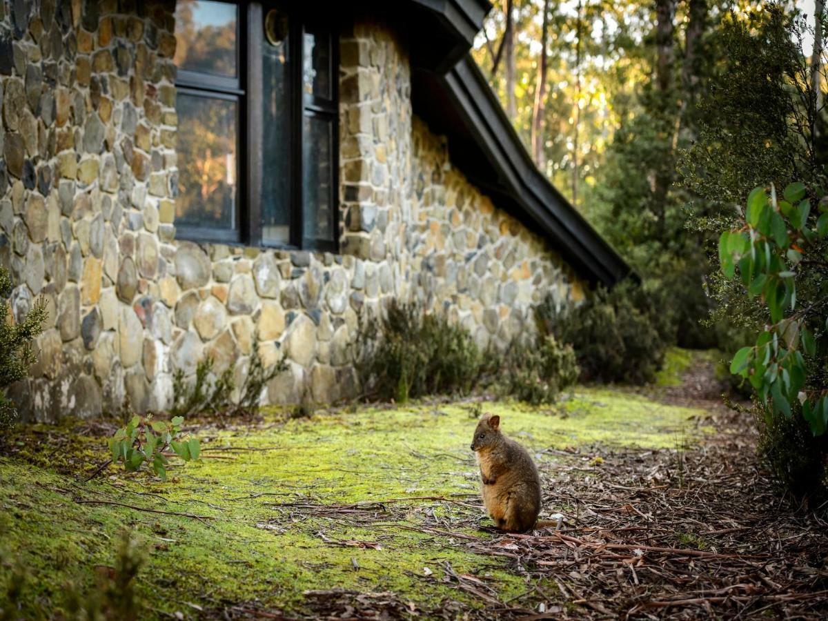 Discovery Parks - Cradle Mountain Exterior photo